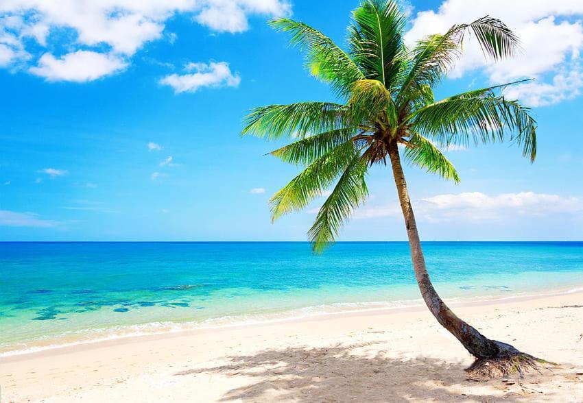 Jambo Diani 1-Bedroom Apartment Close To The Beach Диани Бийч Екстериор снимка